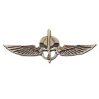 Best IDF Combat Units