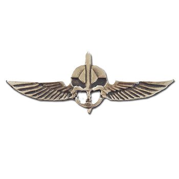 Best IDF Combat Units