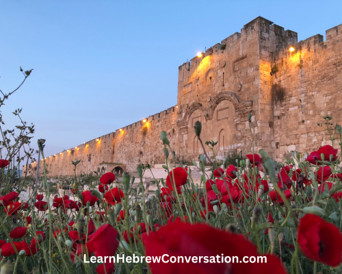 GOLDEN Gate JERUSALEM