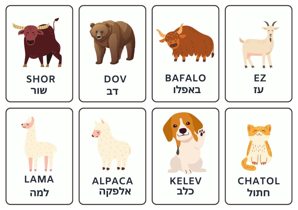 animals in Hebrew Ba'ali Chaeim