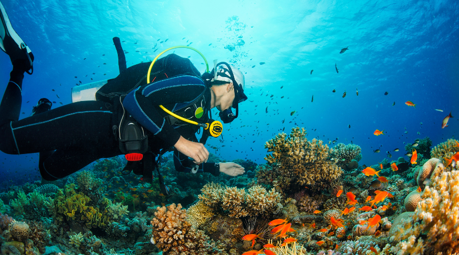 Red Sea DIVING EILAT