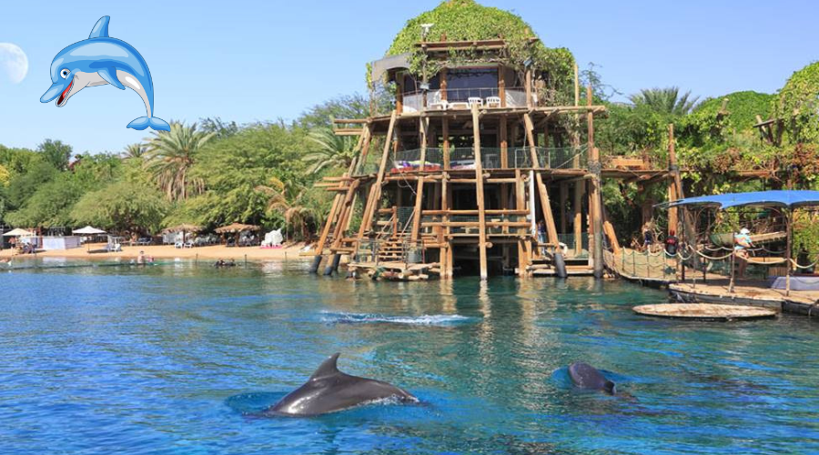 DOLPHIN REEF EILAT