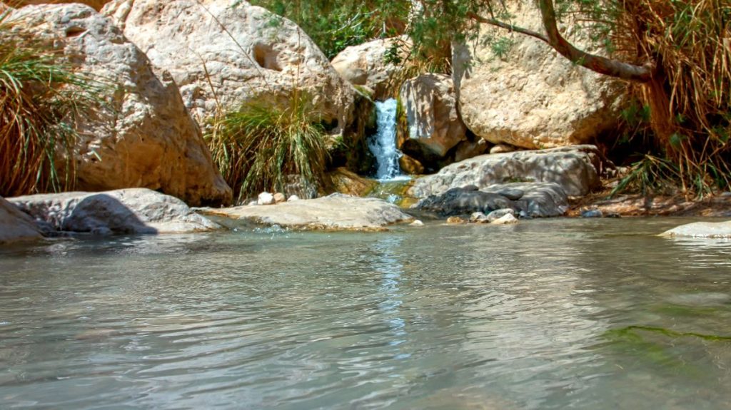 Ein Gedi Springs