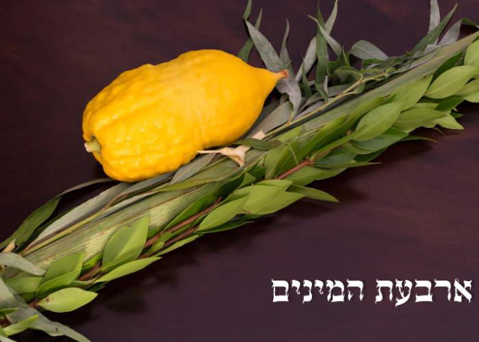 Arba'at Haminim: The Four Species of Sukkot