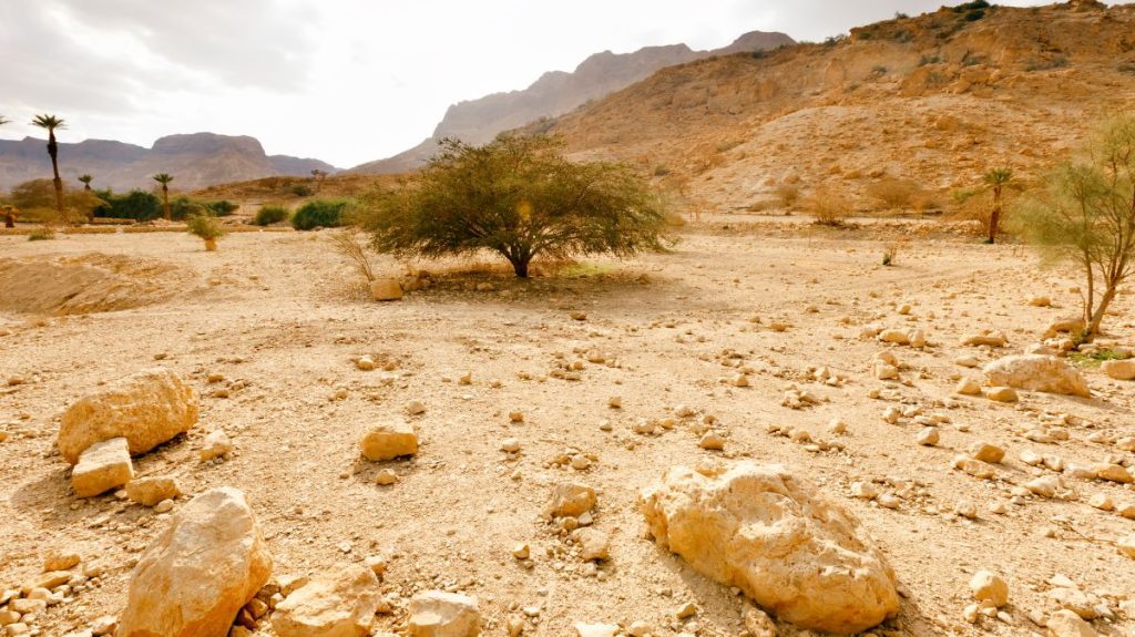 Hiking Trails in Ein Gedi