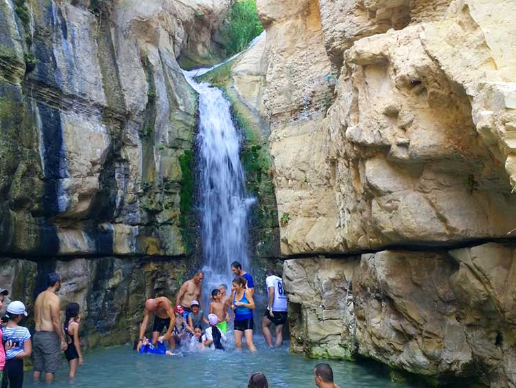 EIN GEDI SPRINGS