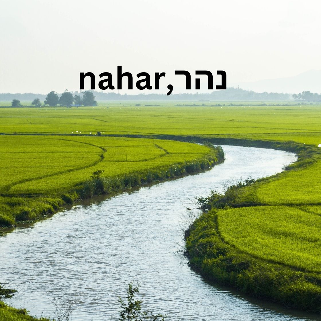 Hebrew Word of the Day-נהר,nahar