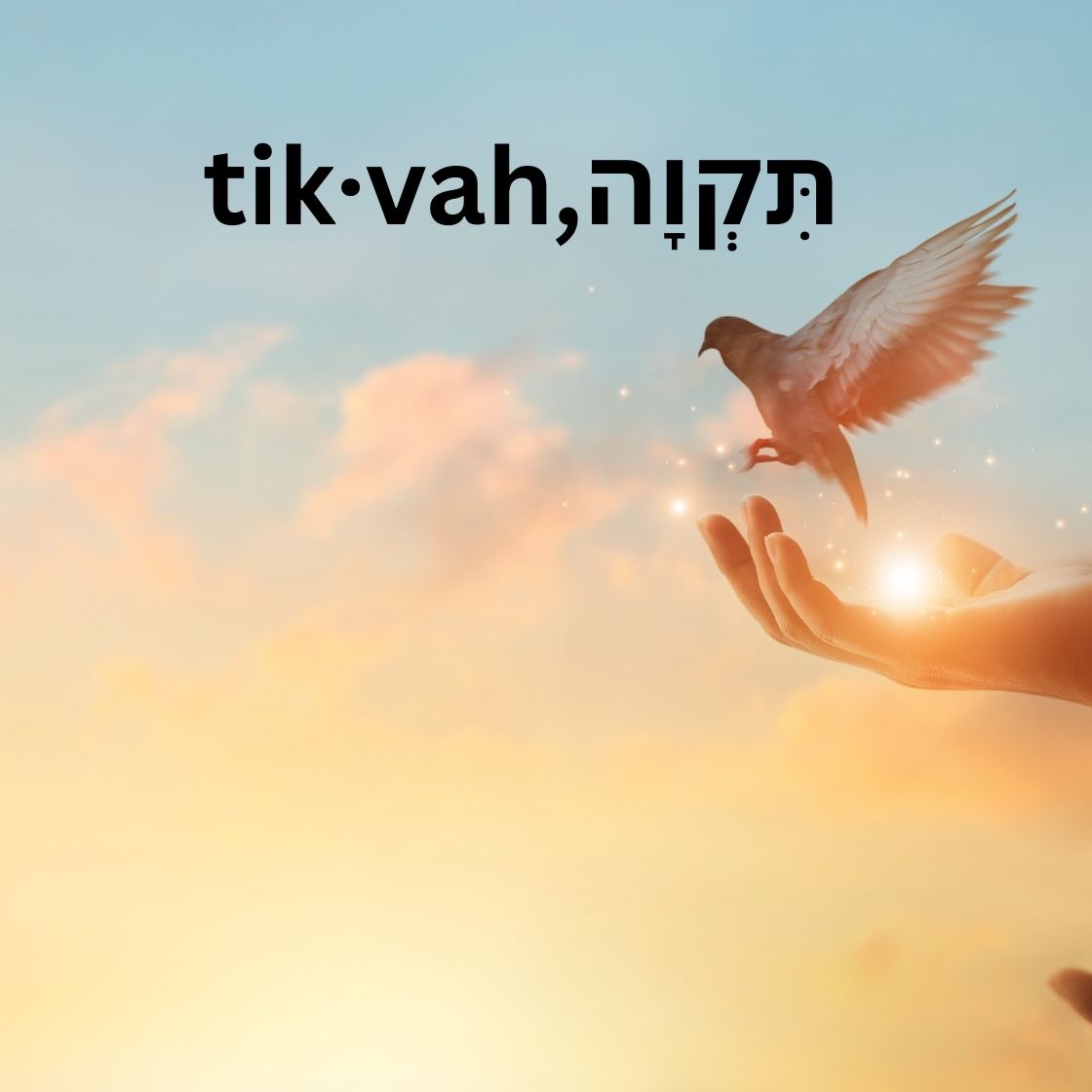 Hebrew Word of the Day-תִּקְוָה,tik·vah